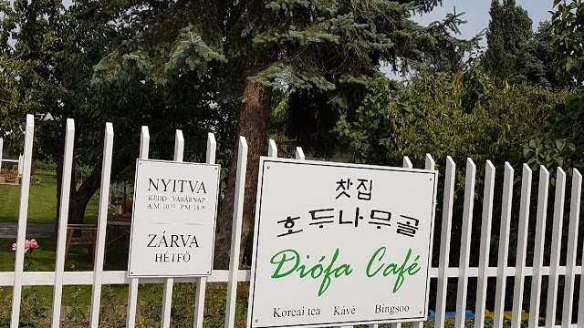 Diofa cafe Korean traditional tea